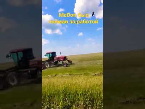 MаcDon пойман с