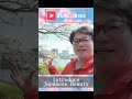 【JAPAN】Sakura is symbol of Japan 桜は日本のシンボル