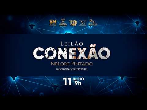 LOTE 20