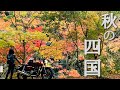 【秋の四国ツーリング①】初めての四国ツーリングで、あの讃岐うどんが○○味だった！！南海フェリーで四国へ♪