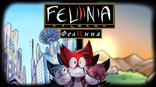 картинка: Коротко про Felinia (Фелиниа)/ Успех — всего лишь шаг, или вечность в бездне