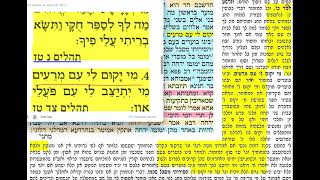 דף יומי מסכת סוכה דף נה Daf yomi Succa daf 55 שמואל נבון