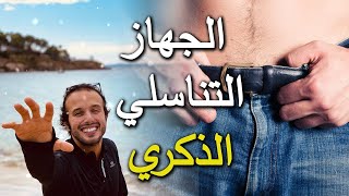 Dr Oubeidallah Ep 5 | أجي تفهم الجهاز التناسلي الذكري | التربية الجنسية