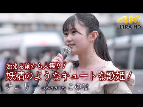 【 歌うま 】妖精のようなキュートな歌姫！始まる前から人集りなる人気に！　チェリー / スピッツ（ covered by このは ）4K映像