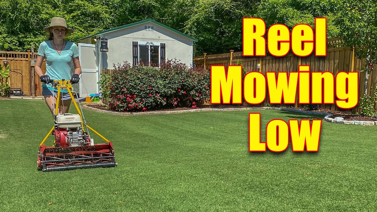 Gas Powered Reel Mowers Cutting Short Reel Mowers