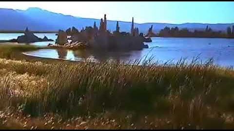 فَلَمَّا قَضَىٰ مُوسَى الْأَجَلَ (القصص) تلاوة الشيخ عبدالله كامل