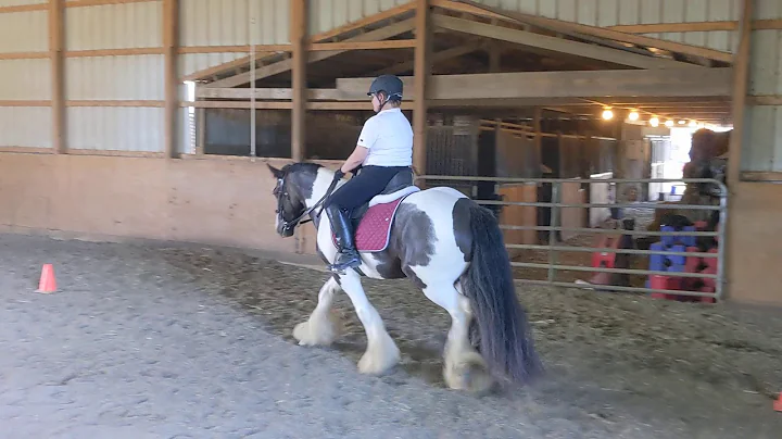 WT Equitation, Judy Conklin and PPFs Midnight Rhyt...