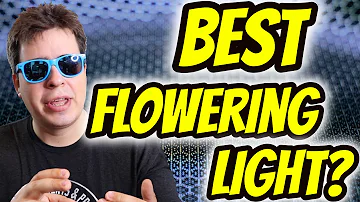 BEST LIGHT FOR FLOWERING HANDS DOWN