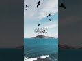 beautiful new video #madinekibaatein #islamicquotes #newvideo