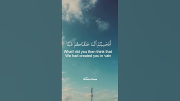 سورة #المؤمنون #تلاوة_خاشعة #القرآن_الكريم