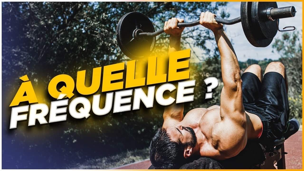 S'ENTRAINER TOUS LES JOURS EN MUSCULATION ?