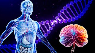 528 Hz - Alpha waves heal damage in the body in 10 minutes - Healing Physical, Mental and Emotional