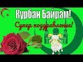 Красивые видео поздравления с праздником Курбан Байрам на праздник курбан-байрам