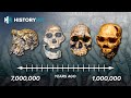 A Crash Course In Human Evolution With Anthropologist Chris Stringer