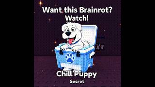 Surviving Tsunami For Chill Puppy