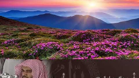 abdullah awad al juhani surah al fatiha   عبد الله عواد الجهني سورة الفاتحة