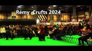 Remy Crufts 2024