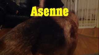 Roni - Asenne Music Video