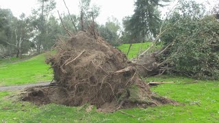 Madera crews working to clear damage from flood