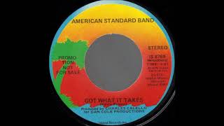 Download Lagu American Standard Band - Got What It Takes - (45) MP3
