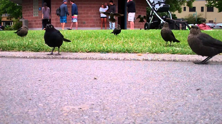 Feeding time!
