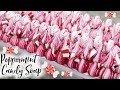 Peppermint Candy Soap + 10 Layer Embed Loaf | #12DaysofSoapmas