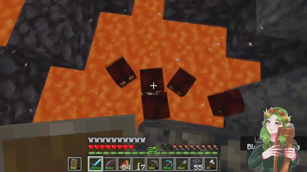 Minecraft Livestream 4: Collecting Blaze Rods, Farming Wood, and Hunting Name Tags