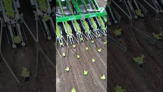 Automatic Transplanting Machine Tre For Square Soil Blocks || Made By Hortech Srl Italy || #Shorts