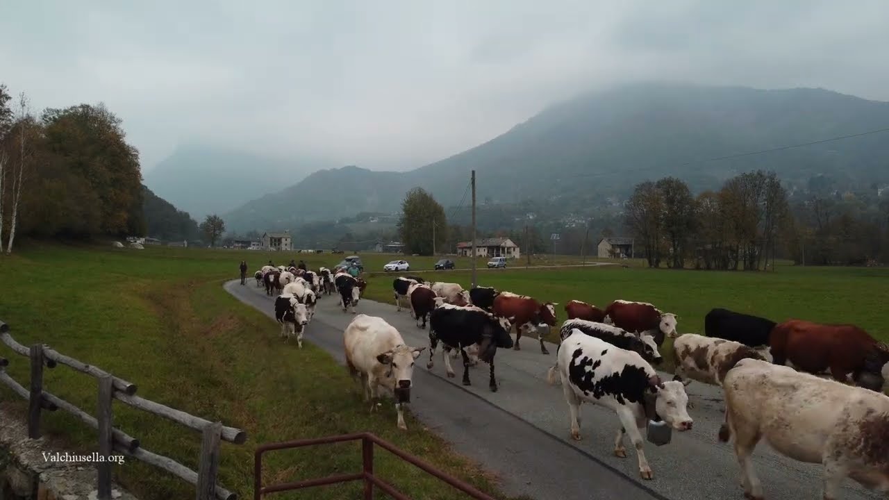 Trasumanza famiglia Vigna 2022