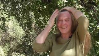 A look at the Santa Clarita Valleys newest historical landmark