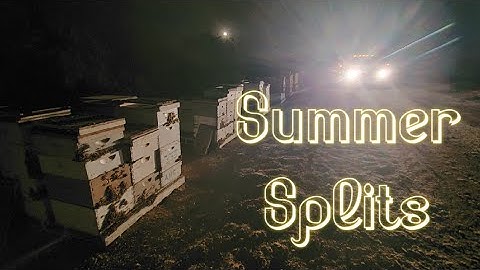 Summer Splits