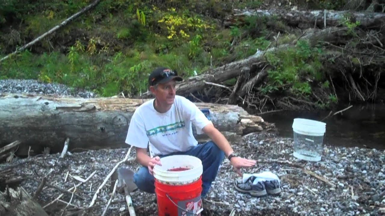 Prospecting Montana YouTube