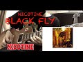 [GUITAR]NICOTINE[black fly]ギターで弾いてみた