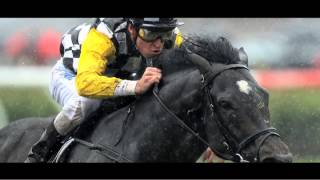 Melbourne Festival Of Racing - G1 Championship