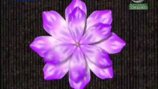 God's own Fibonacci sequence