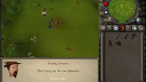 Old School RuneScape Random Events: Pheasant