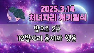 ⭐별자리운세⭐3/14 처녀자리 개기월식부터 2주 동안_소원 타이밍_소원 키워드