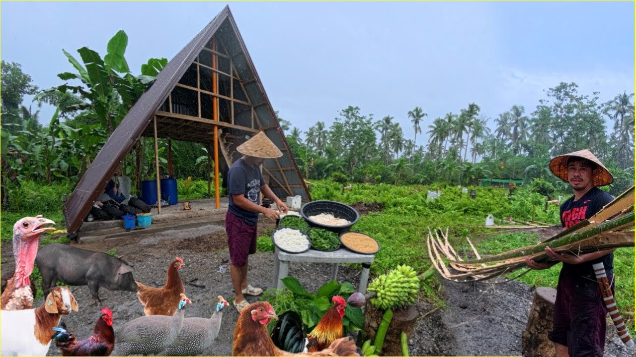 Pagbakod Sa Mga Gulay Hindi Natapus Dahil Walang Tigil Ang Ulan