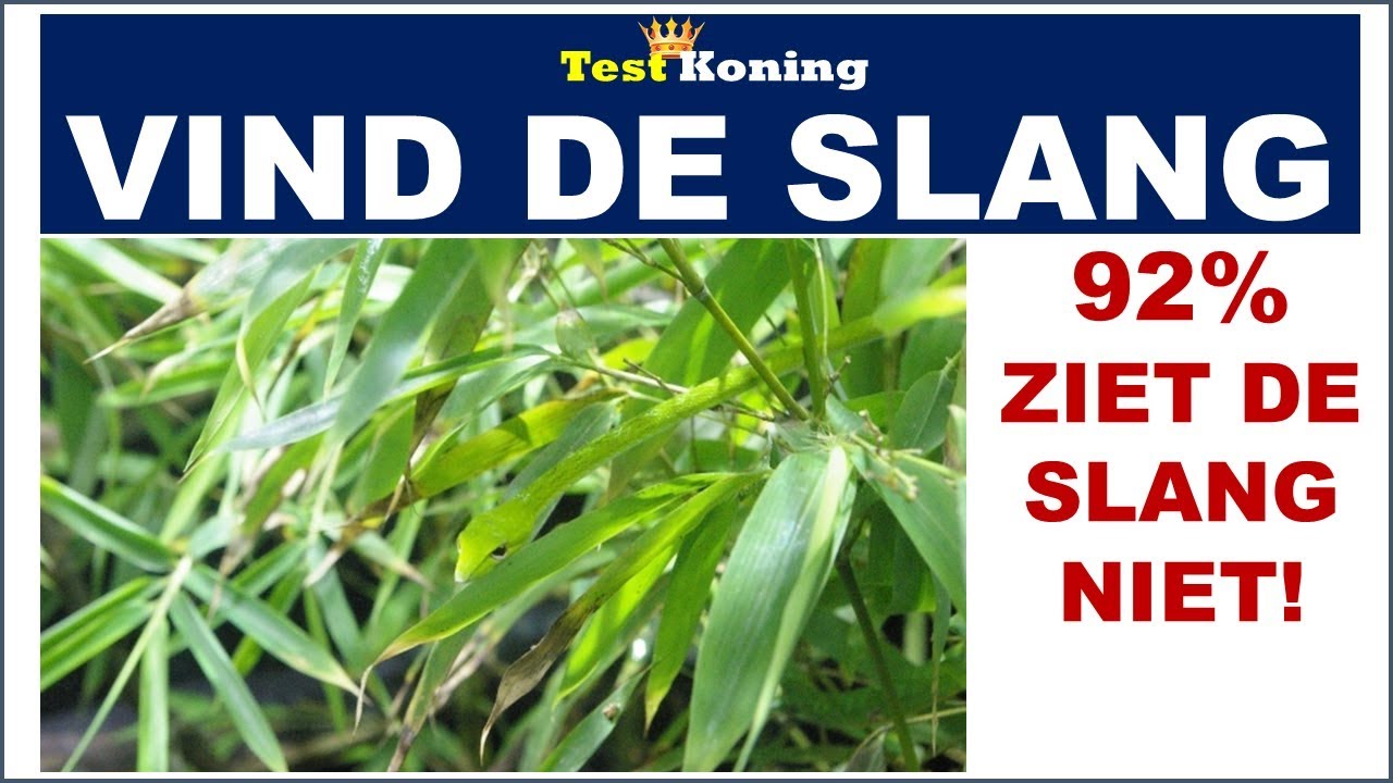 LOS JIJ DEZE RAADSELS OP?