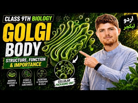What is Golgi Body? Complete Explanation | Structure & Function | MDCAT Biology.
