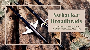 Swhacker Broadheads | Treezyn | Mathews VXR 31.5 | Bowhunting South Africa | Arrowhead Africa