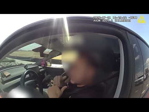 "I Wasn't Driving" Tesla Driver Blames Autopilot For Speeding Ticket