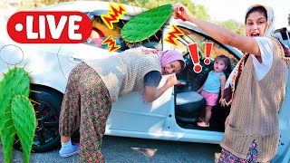 🔴 Fındık Ailesi – Asiye yüzünden hiçbir yere gidemiyoruz! Tüm aile ile eğlenelim! Komik videolar.