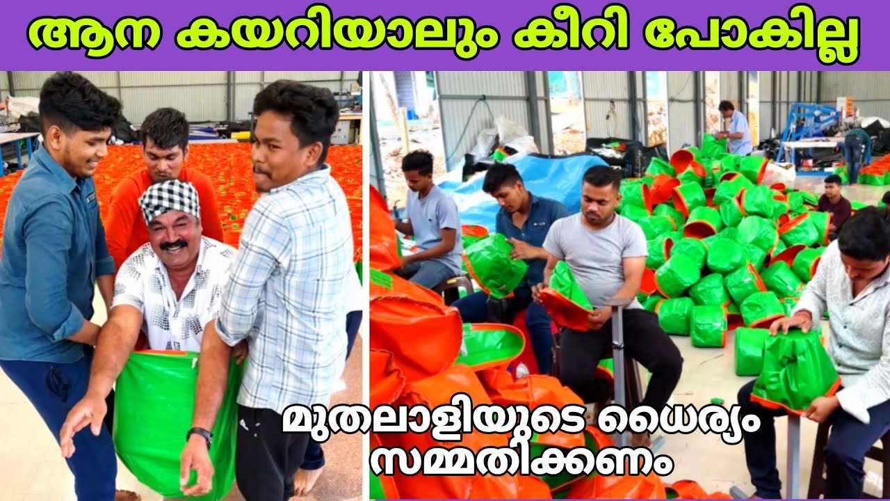 ആന കയറിയാലും കീറാത്ത ഗ്രോ ബാഗുകൾ 20 രൂപ മുതൽ ഉണ്ടാക്കി കൊടുക്കുന്ന കമ്പനി😍 | fz rover | malayalam