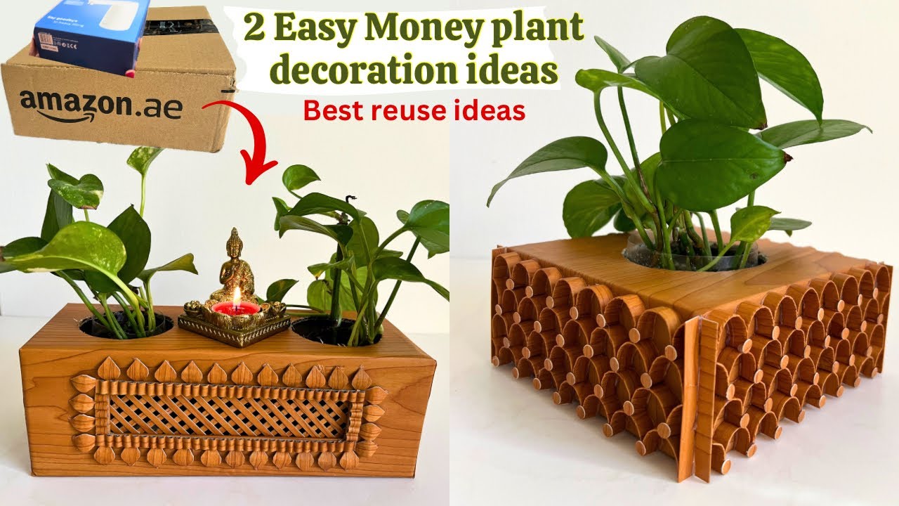 2 Easy Indoor Money Plant Decoration Ideas Plant 2-easy-indoor-money-plant-decoration-ideas-plant
