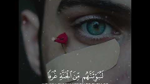 ما تيسر من سوره العنكبوت | بصوت القارئ عبدالرحمن مسعد | حالات واتس اب♥♥.