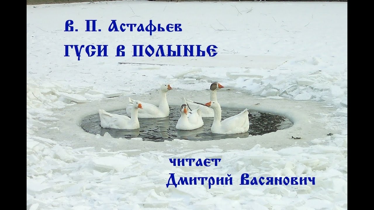 В. П. Астафьев. Гуси в полынье. Читает Дмитрий Васянович