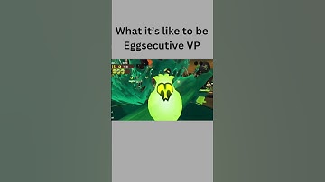 what its like to be Eggsecutive VP #splatoon3 #salmonrun