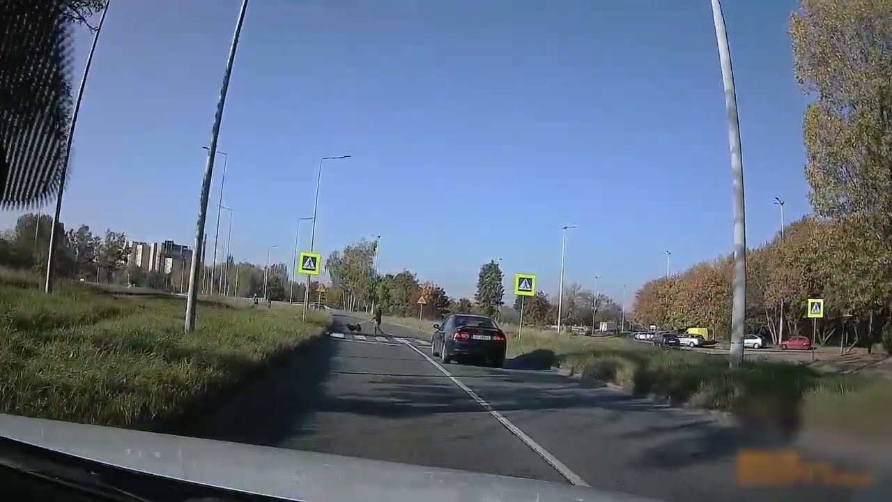 Zdjęcie 4: O włos od groźnego potrącenia na Mikołowskiej