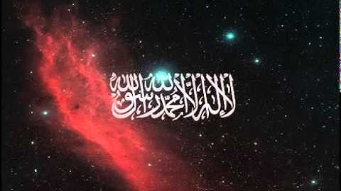 محمد حسين عامر   سورة الحجرات